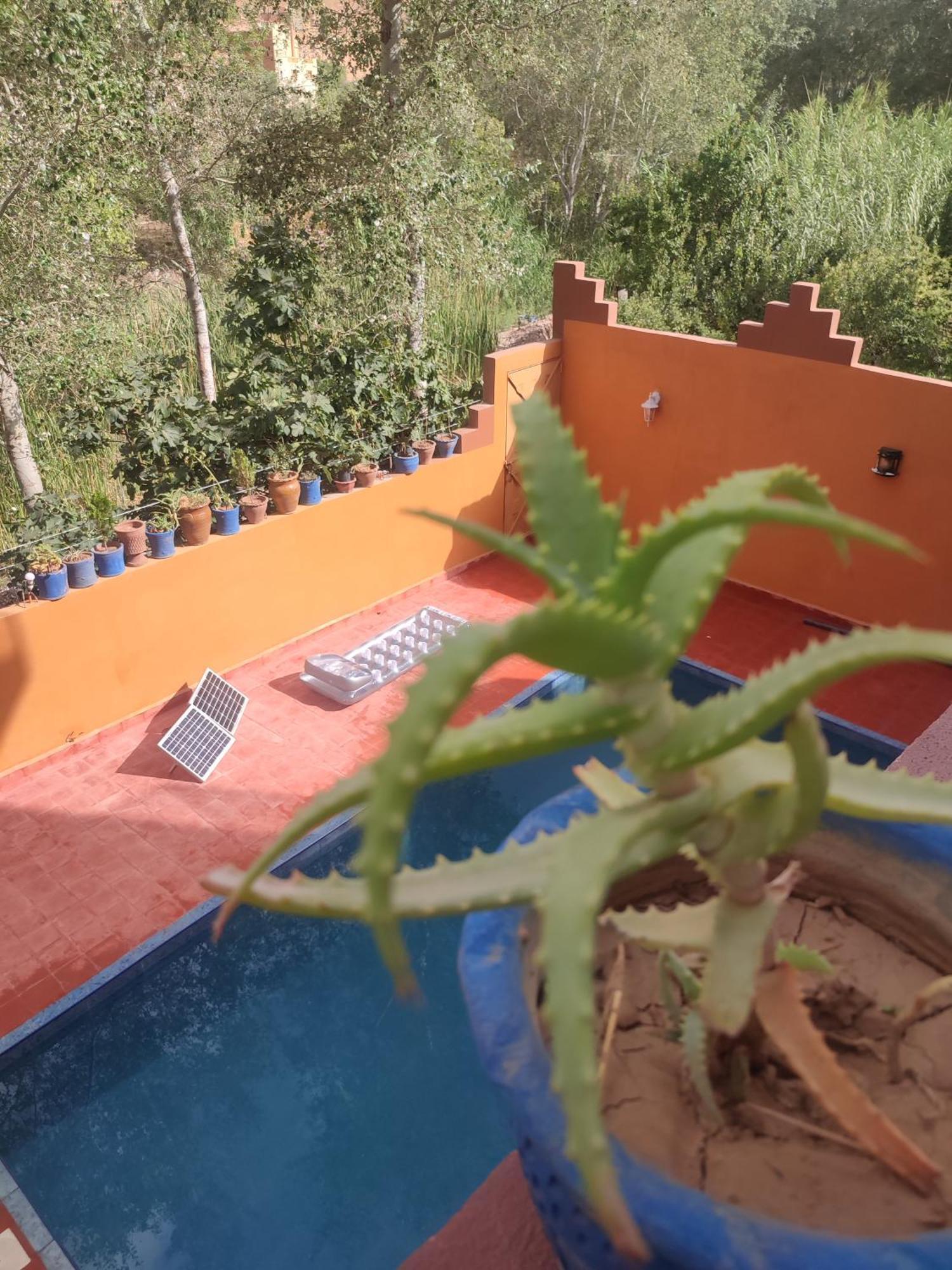 Auberge De La Riviere Du Dades Boumalne Dades Bagian luar foto